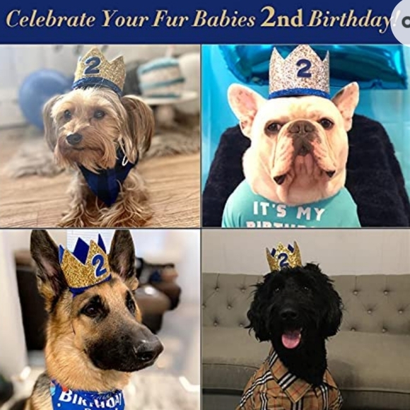 🆕️🚫🏷 2nd Birthday Crown w/ Balloons 🆕️🚫🏷 - Picture 3 of 9
